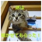 MO人